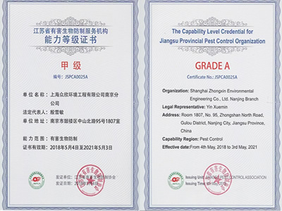 江苏省甲级能力等级证书